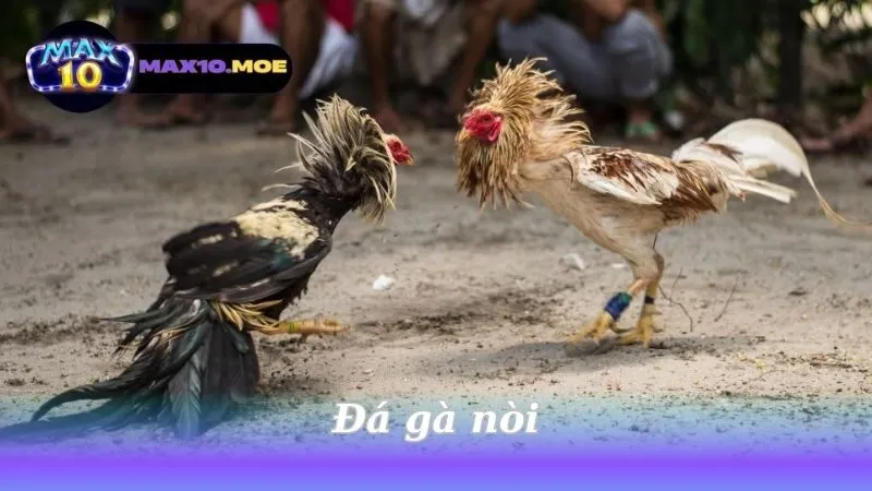 da-ga-noi